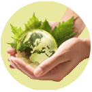 SUSTENABILITATEA MEDIULUI ȘI PERFORMANȚĂ ECOLOGICĂ