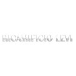 RICAMIFICIO LEVI© Logo